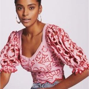 Anthropologie Pink Crop Top with Red Embroidery